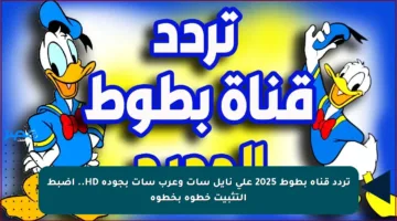 تردد قناة بطوط 2025 على نايل سات وعرب سات بجودة HD.. اضبط التثبيت خطوة بخطوة